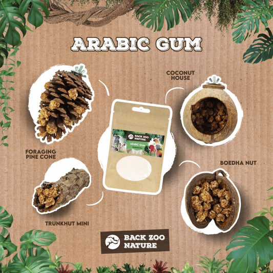 Back Zoo Nature Arabische Gom 50 gram