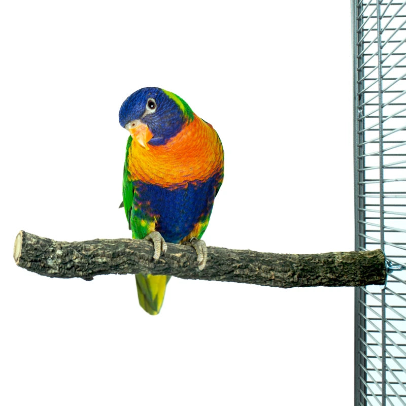 Back Zoo Nature Corky Perch – Kurken Zitstok voor Papegaaien & Parkieten
