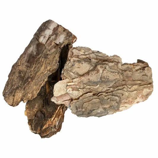 Back Zoo Nature Pine Tree Bark – Ruwe Schors voor Sloopplezier & Creatief Speelgoed