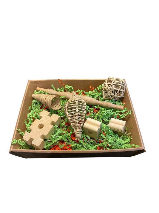 Nieuwsgierige Snavel Box – Foerageerplezier