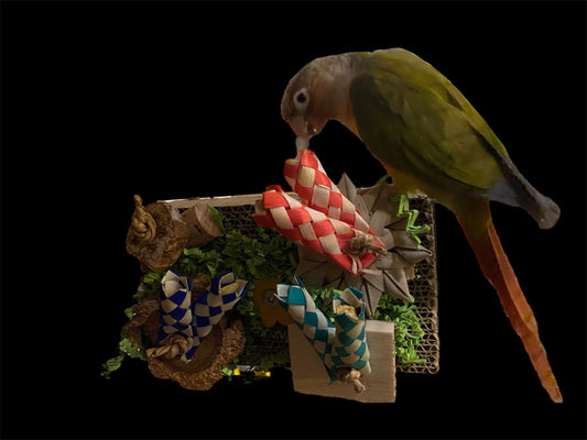 Karton Kriebel – kleurrijk foerageerspeeltje