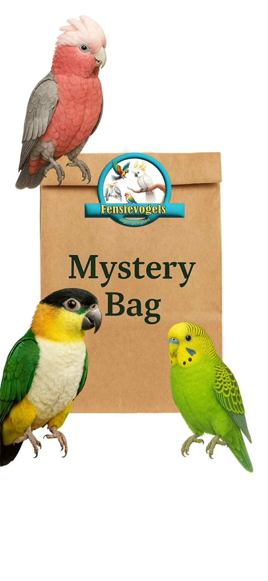 Durf jouw vogel vriendje het zakje zelf te openen