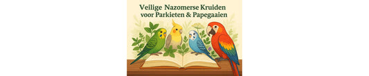 Veilige nazomerse kruiden voor parkieten & papegaaien