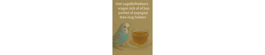 papegaaien en parkieten thee