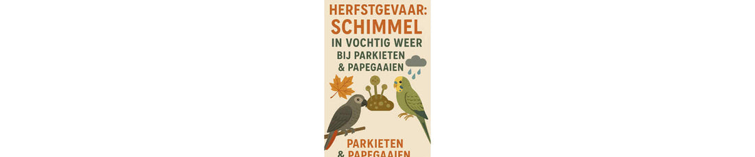 Herfstgevaar: schimmel in vochtig weer bij parkieten & papegaaien