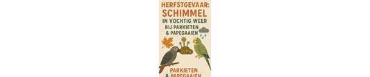 Herfstgevaar: schimmel in vochtig weer bij parkieten & papegaaien