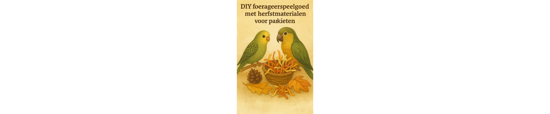 DIY foerageerspeelgoed met herfstmaterialen voor parkieten & papegaaien