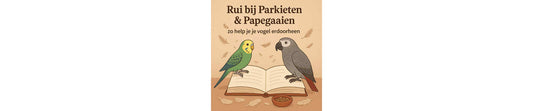 Rui bij parkieten & papegaaien