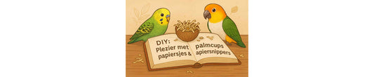 DIY: Plezier met palmcups & papiersnippers