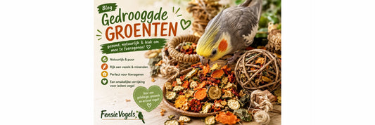 Gedroogde groenten voor vogels: gezond én leuk om mee te foerageren