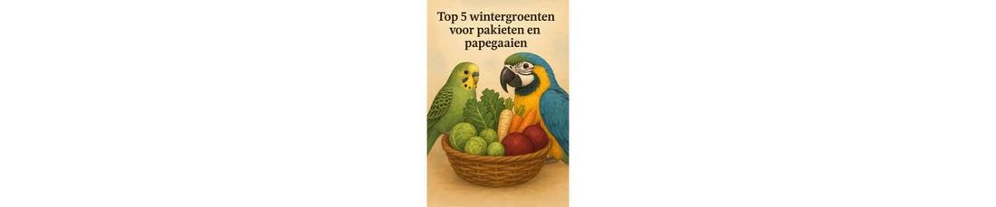 Top 5 wintergroenten voor parkieten & papegaaien