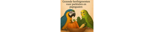 Gezonde herfstgroenten voor parkieten & papegaaien