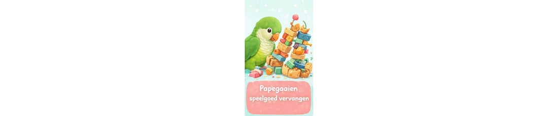 Hoe vaak papegaaien speelgoed vervangen? | FensieVogels