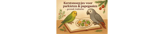 Kerstsnoepjes voor parkieten & papegaaien – gezonde traktaties