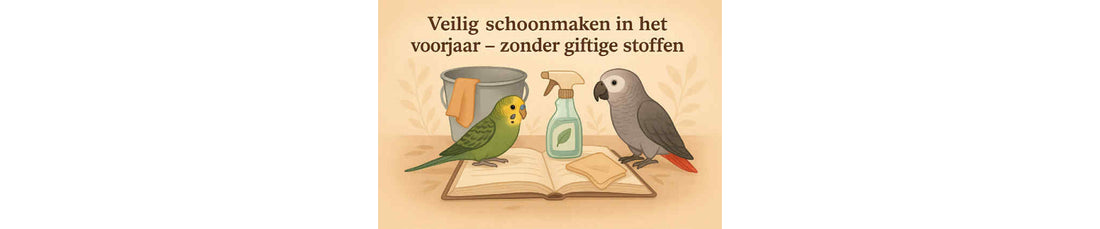 Veilig schoonmaken in het voorjaar – zonder giftige stoffen