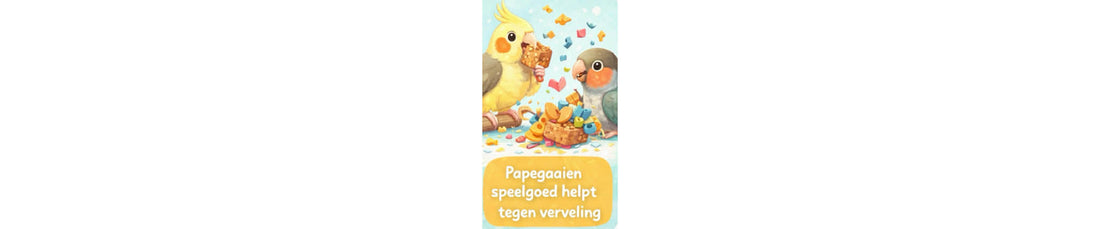 Papegaai of parkiet verveelt zich? Tips tegen verveling | FensieVogels