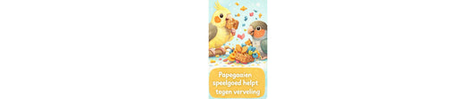 Papegaai of parkiet verveelt zich? Tips tegen verveling | FensieVogels