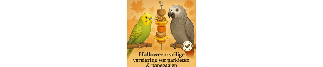 Halloween: veilige versiering voor parkieten & papegaaien