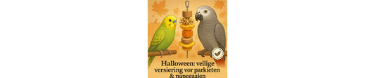 Halloween: veilige versiering voor parkieten & papegaaien