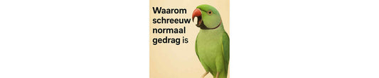 waarom het nog maar is dat parkieten en papegaaien herrie maken
