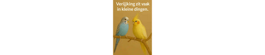 Verrijking zit vaak in kleine dingen