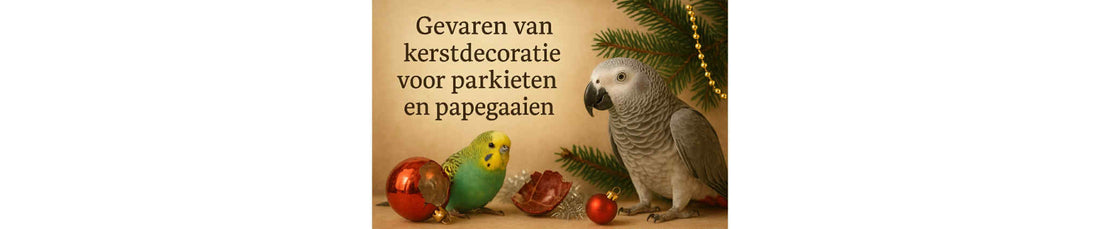 Gevaren van kerstdecoratie voor parkieten & papegaaien