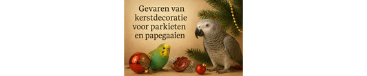 Gevaren van kerstdecoratie voor parkieten & papegaaien