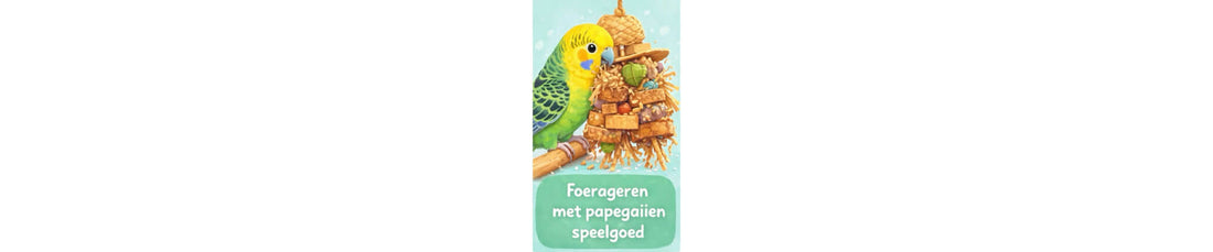 Waarom papegaaien speelgoed nodig hebben | FensieVogels