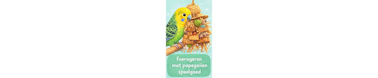 Waarom papegaaien speelgoed nodig hebben | FensieVogels