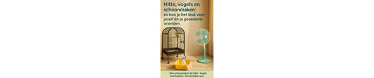 Hitte, vogels en schoonmaken: zo hou je het leuk voor jezelf én je gevederde vrienden