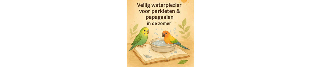 Veilig waterplezier voor parkieten & papegaaien in de zomer