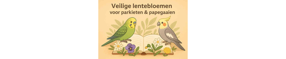 Veilige lentebloemen voor parkieten & papegaaien