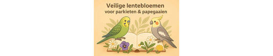 Veilige lentebloemen voor parkieten & papegaaien