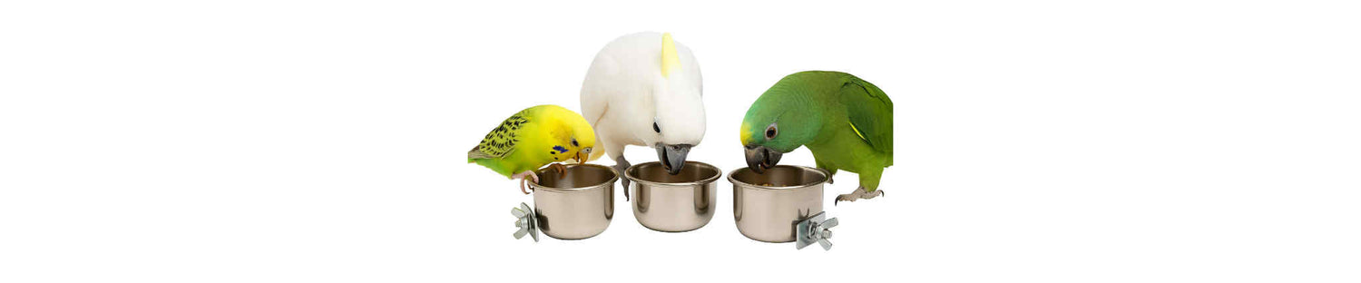 Voer- en waterbakjes vogels