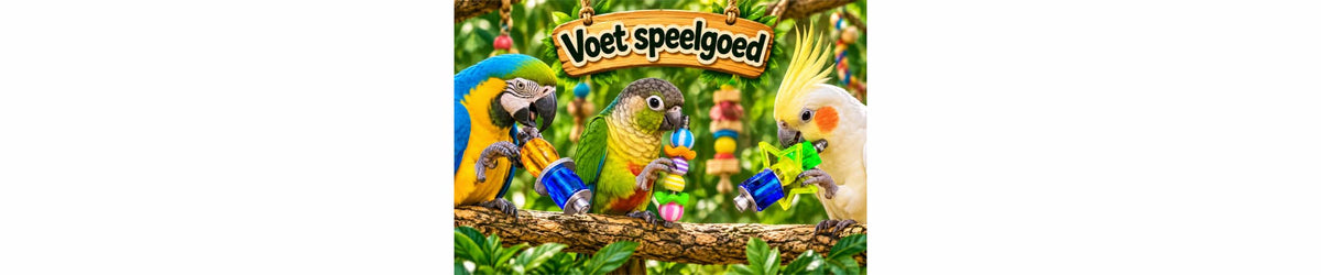 Voetspeeltjes parkieten en papegaaien
