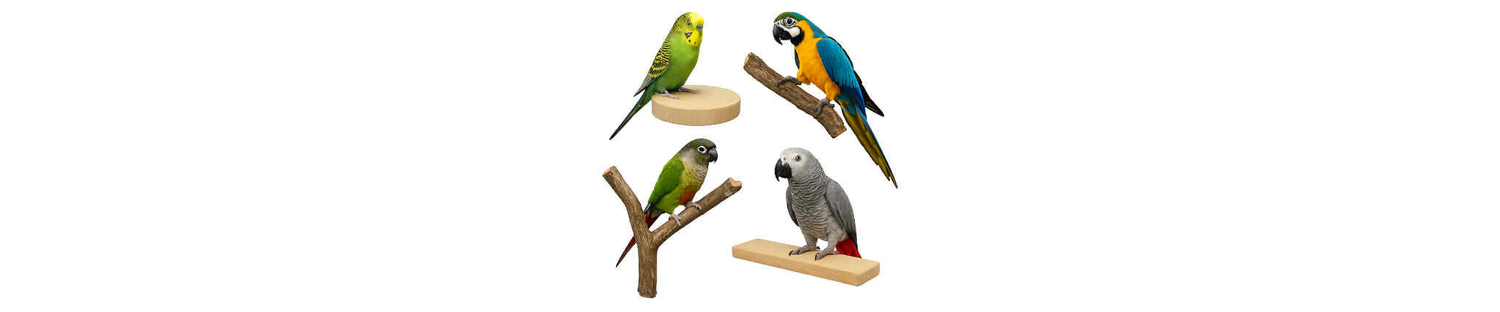 Zitstokken en plateaus vogelspeelgoed