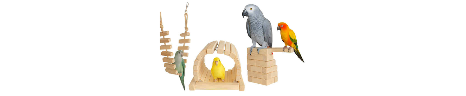 Bruggen, ladders en trapjes voor actieve vogels