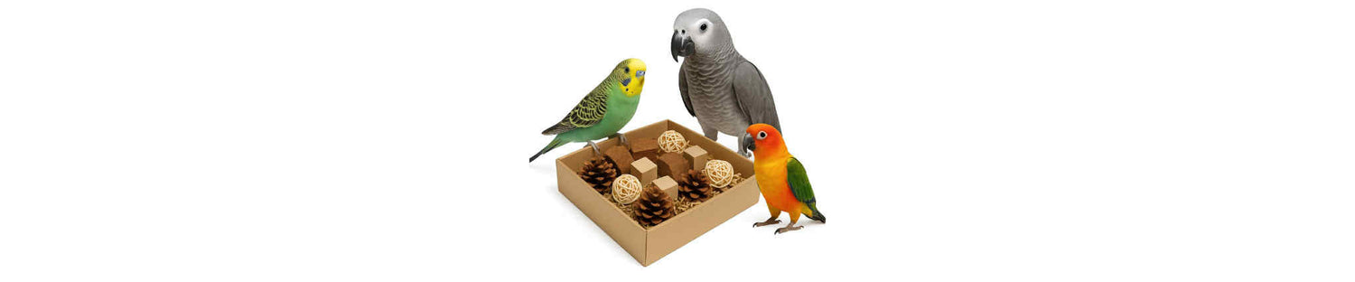 Foerageerbox voor parkieten en papegaaien met natuurlijk speelgoed.