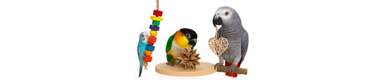 Aanbevolen vogelspeelgoed