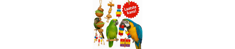 Uitverkoop – Laatste Kans op Speelgoeddeals!