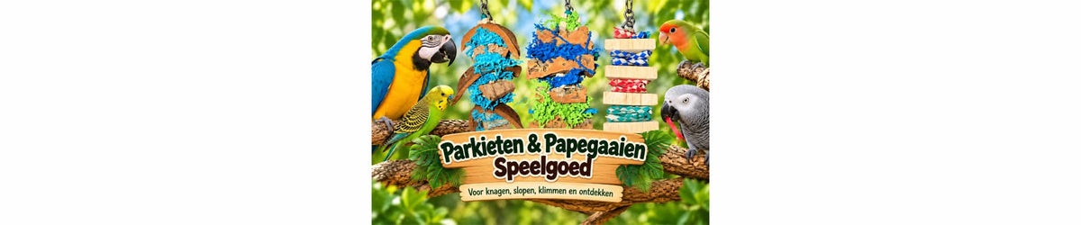 RVS Spies Speelgoed