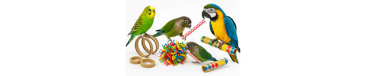 Karton en papier onderdelen vogelspeelgoed