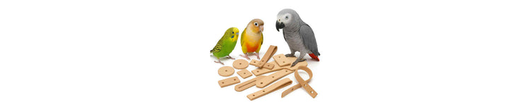 Leer onderdelen vogelspeelgoed