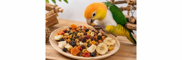 Foerageersnacks
