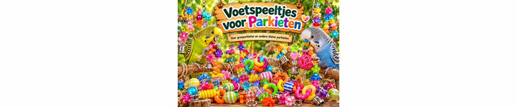Voetspeeltjes voor parkieten