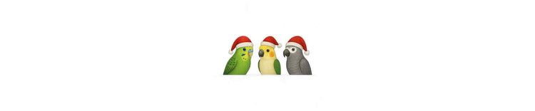Handgemaakt kerstspeeltje voor parkieten en papegaaien in rood en groen