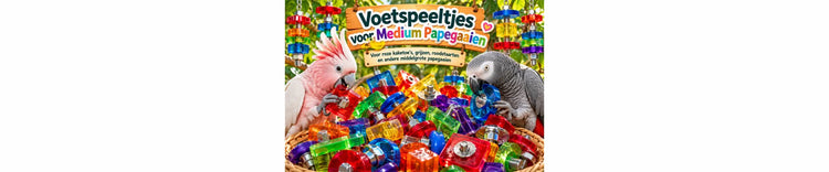 Voetspeeltjes voor medium papegaaien