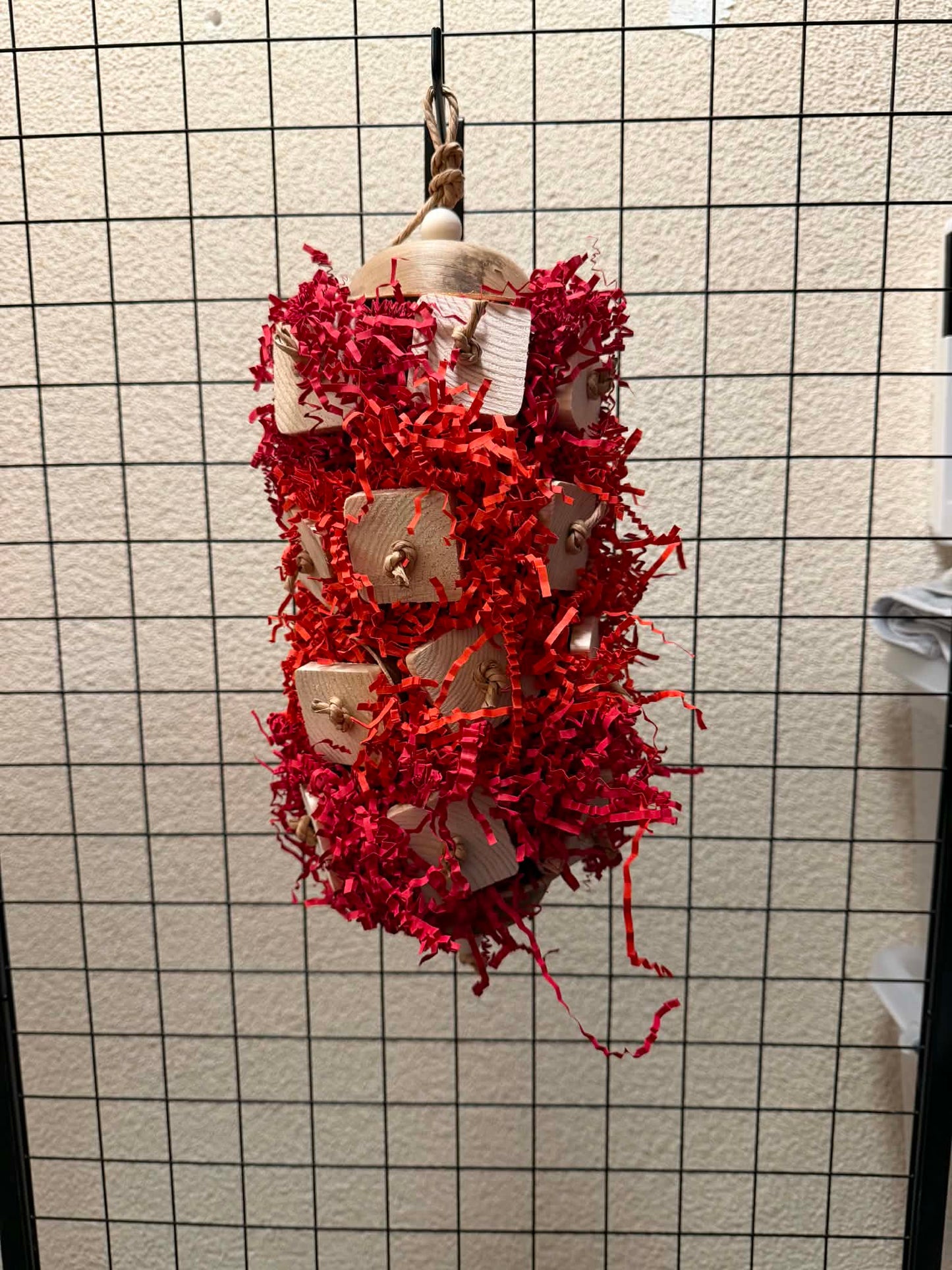 FensieVogels Specials – rood Speelavontuur met papiertouw
