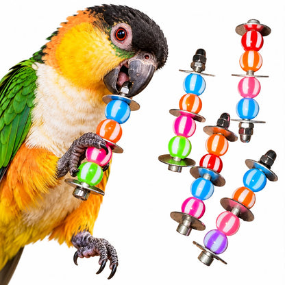 RVS Rainbow Rebels – Voetspeeltjes voor kleine Papegaaien
