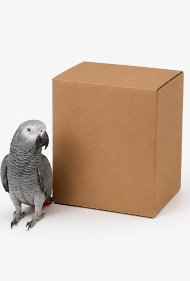 FensieVogels Mystery Box – 3 Verrassende Speeltjes